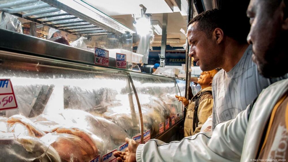 El estudio reveló que Brasil, pese a su extenso litoral y cuenca amazónica, enfrenta desafíos para alcanzar la autosuficiencia total en pescado, uno de los siete grupos alimentarios esenciales donde varios países sudamericanos dependen de importaciones complementarias.