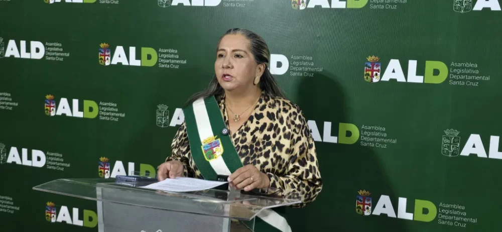 La asambleísta rechazó cualquier injerencia externa.