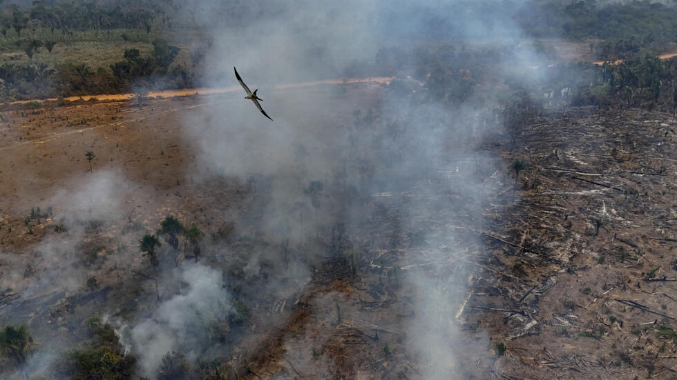 Quema ilegal de la Amazonia cerca de Humaitá, en el estado brasileño de Amazonas (norte), el 4 de septiembre de 2024