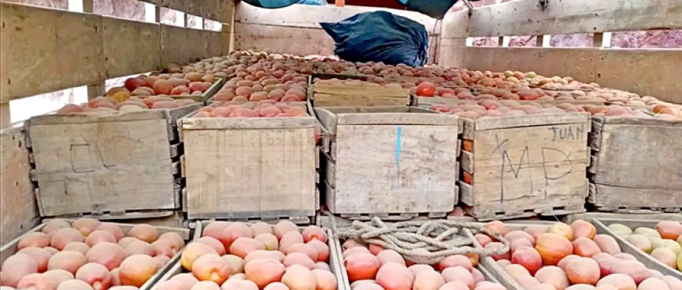 BLOQUEOS. La producción de tomate y cebolla está en riesgo de dañarse.
