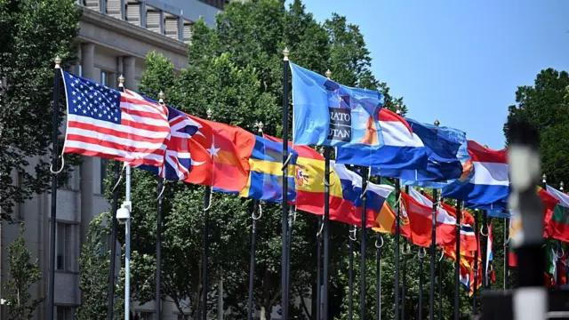 Banderas de la OTAN y sus países miembros en La Haya