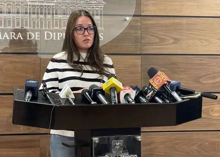 Diputada Luciana Campero.