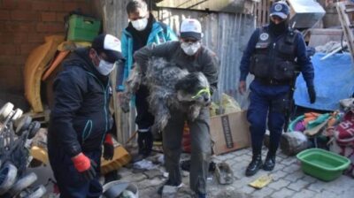 Denuncia en La Paz: Acusan a albergue de retener animales y extorsionar a sus dueños para devolverlos
