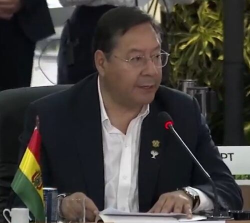Arce lleva a los Brics un discurso marcado por el medioambiente, salud y crisis global