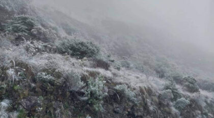 Heladas y granizadas afectan a 6 departamentos y 127 municipios