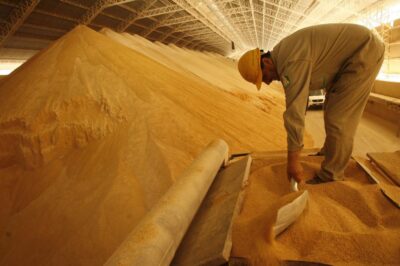 Anapo: Peligra la exportación de 250.000 toneladas de soya por trabas burocráticas