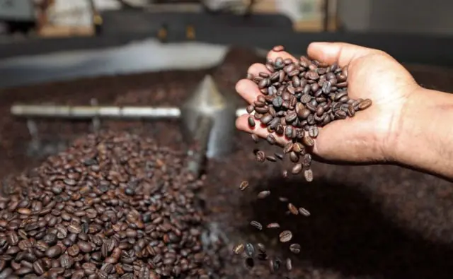 El café boliviano se exporta a 24 países. Foto: Archivo.