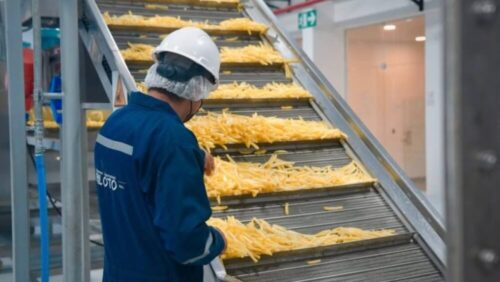 Gobierno afirma que 36 de 120 plantas industriales están operando y el resto está en construcción