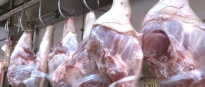 Adepor dice que la falta de diésel les afecta para trasladar cerdos a los mercados y también para la adquisición de insumos