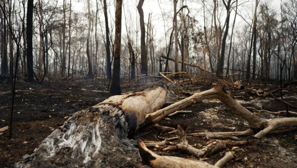 Incendios