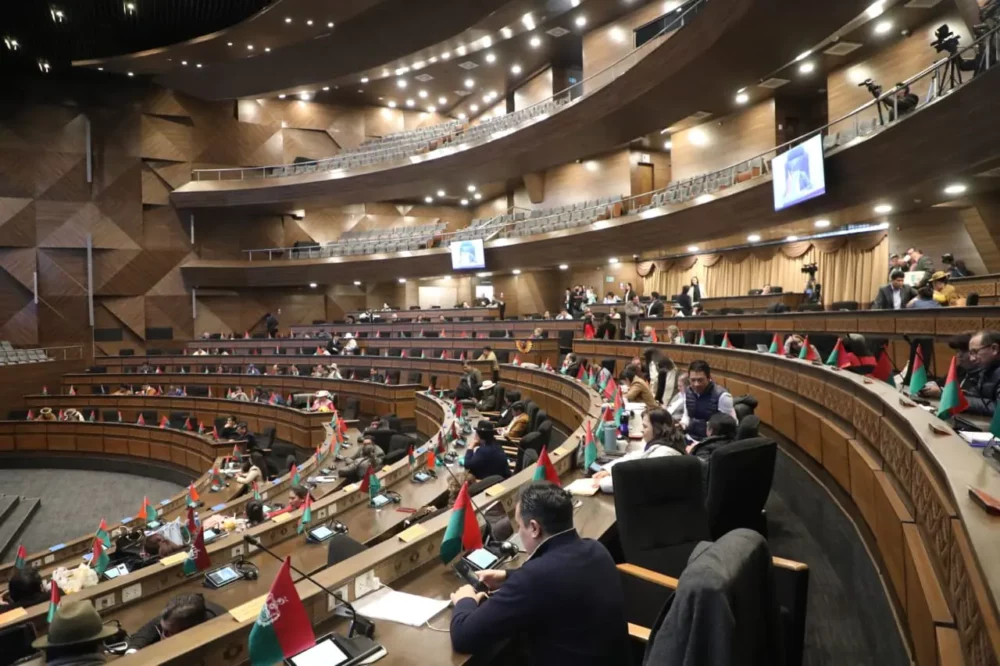 La sesión de la Asamblea entró en cuarto intermedio la madrugada del anterior jueves. Foto: Vicepresidencia.