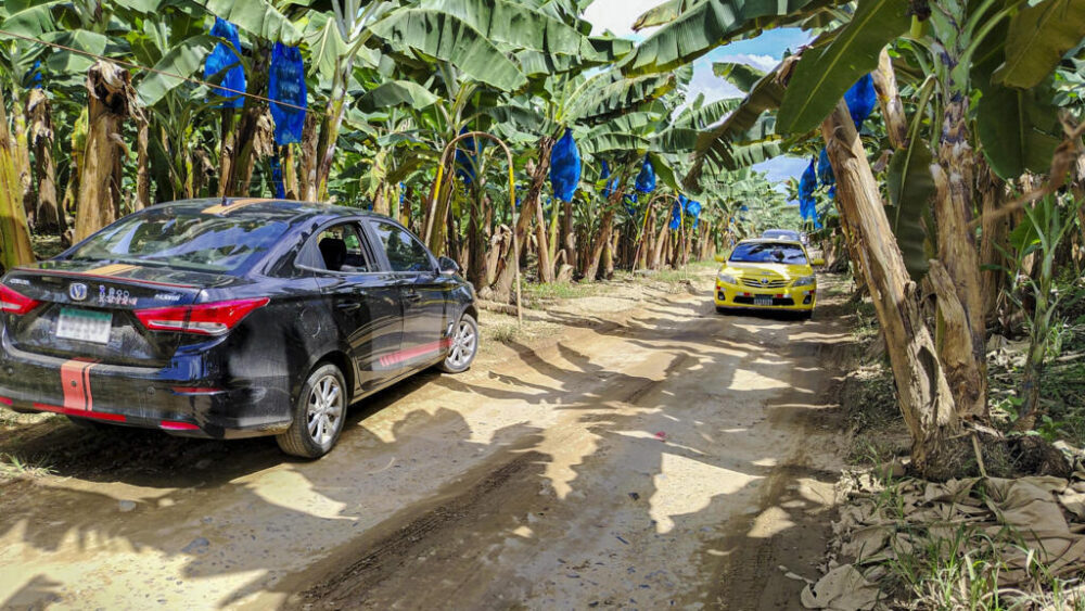 Vehículos atraviesan plantaciones de banano pertenecientes a una subsidiaria de la bananera estadounidense Chiquita Brands en Bocas del Toro, Panamá, el 23 de mayo de 2025.