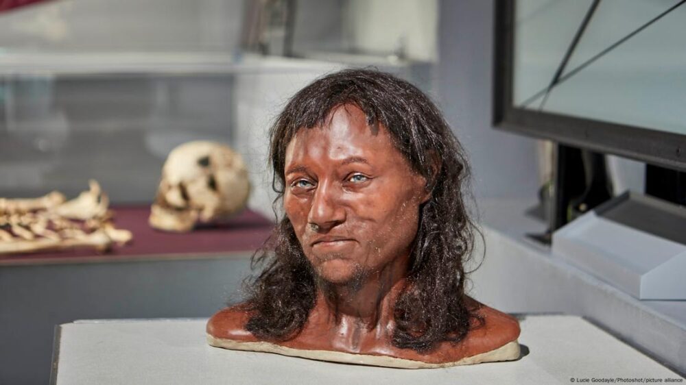 Un modelo facial del Hombre de Cheddar.