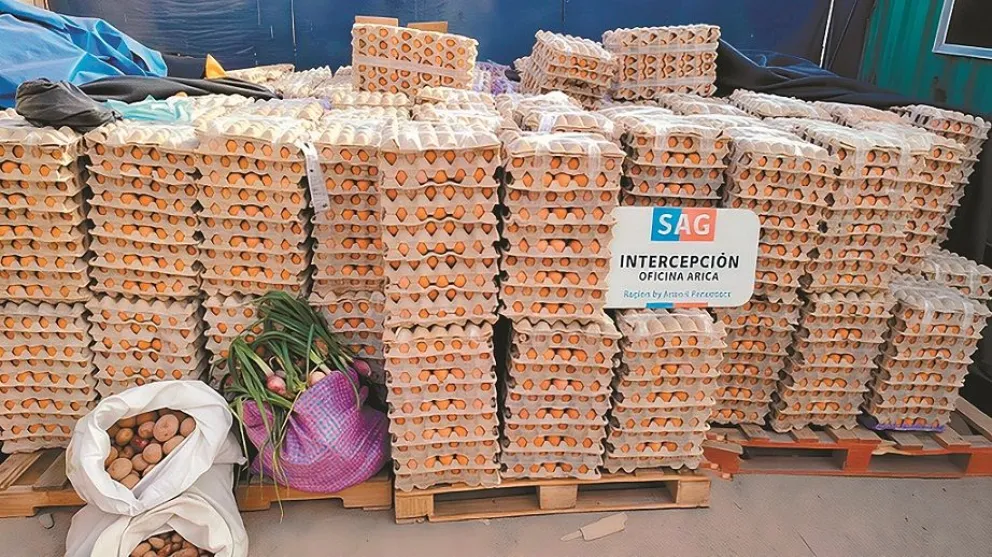 Carga de huevos retenida por autoridades chilenas, en Arica. Foto: Emol