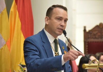 El presidente del TSJ, Romer Saucedo. / Foto: TSJ.
