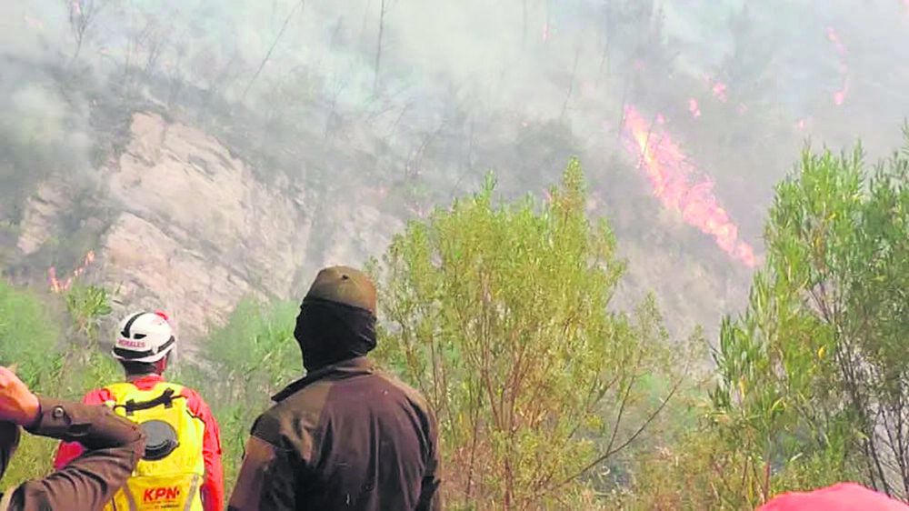 Los bomberos trabajan en las zonas afectadas para evitar que las llamas se expandan