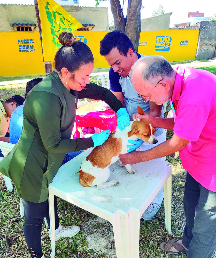 Alianza Unidad desplegó brigadas veterinarias en varios puntos de la ciudad, para atención gratuita de animales