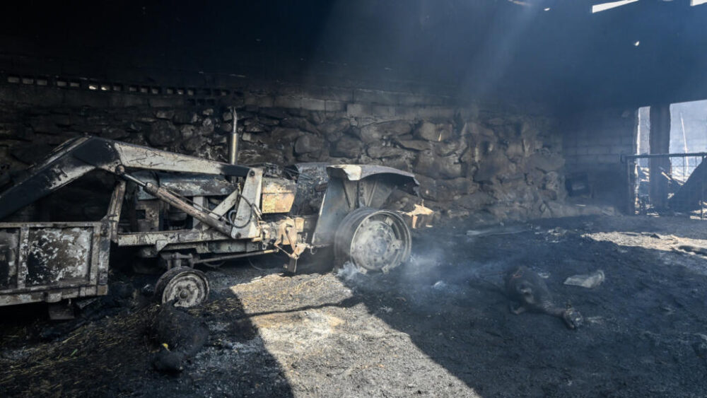 Unas ovejas muertas y un tractor calcinado por un incendio en la localidad española de A Caridade, en la provincia de Ourense (noroeste), en una imagen del 14 de agosto de 2025