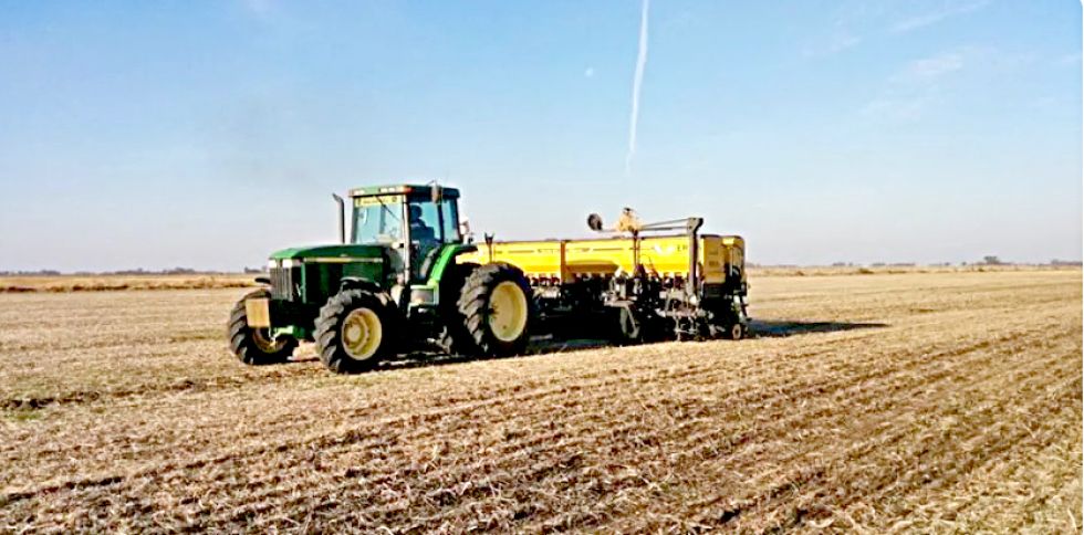 SANTA CRUZ. Desde el sector productivo advierten que las labores agrícolas están sujetas a periodos y calendarios precisos para su ejecución oportuna.