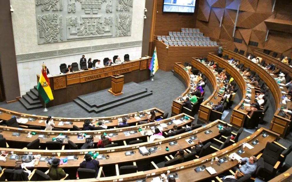 La futura ALP deberá analizar y aprobar el PGE 2026. Foto: ABI