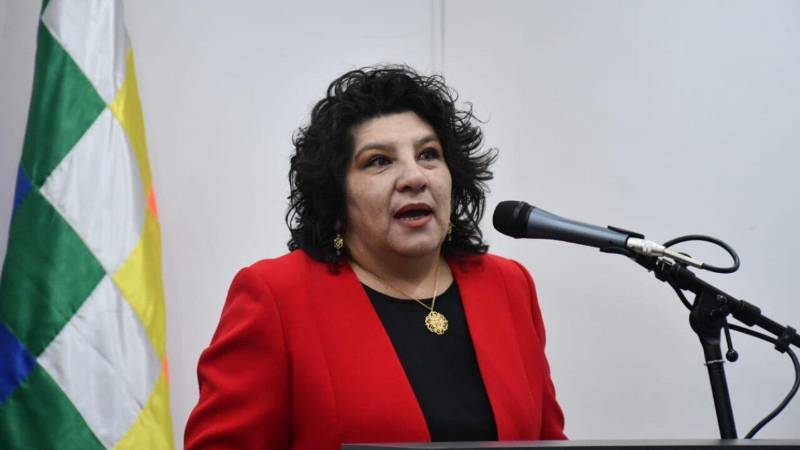 Carola Arraya es viceministra de Seguridad Ciudadana Carola Arraya es viceministra de Seguridad Ciudadana