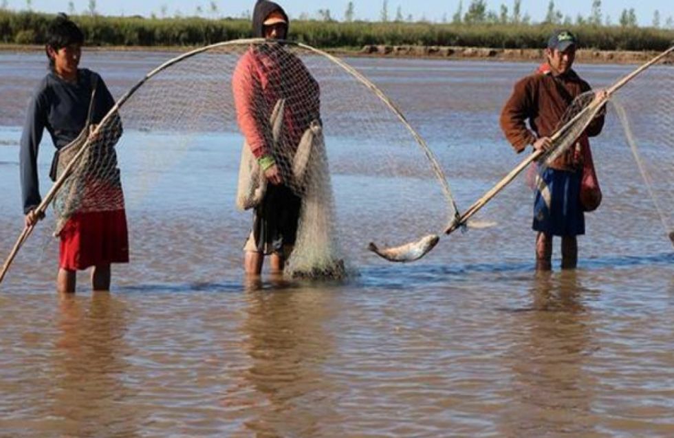Pilcomayo: La veda estará vigente desde el 15 de septiembre