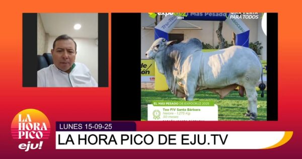 Expocruz 2025 registra récord de participación y destaca la genética cebuina boliviana