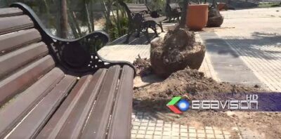 Denuncia de concejal: Parque El Arenal está en mal estado a 9 días de la serenata cruceña
