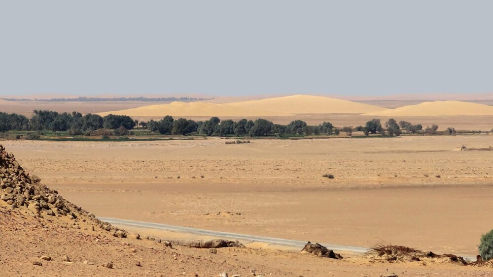Desierto occidental alrededor del oasis de Kharga