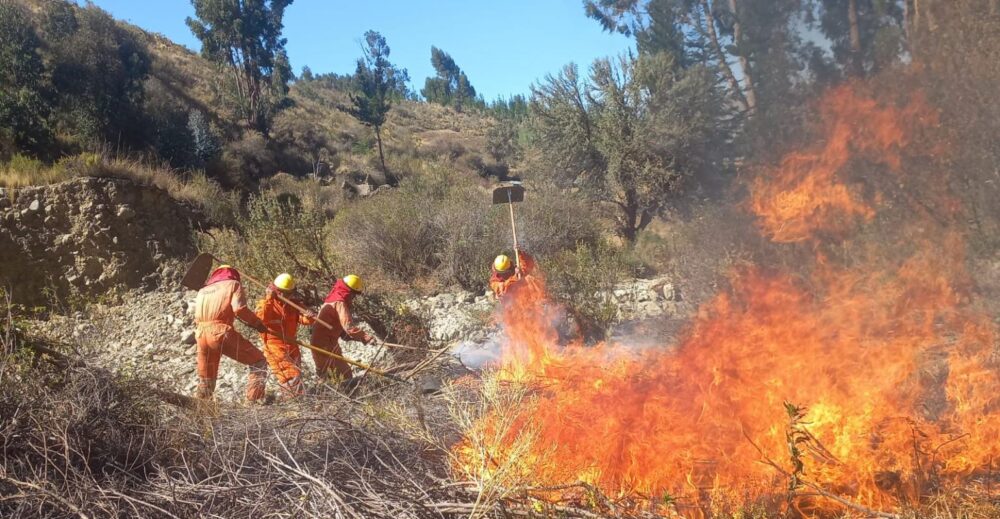Gobierno critica inacción legislativa ante los incendios: “Queremos evitar que la crisis se convierta en desastre”