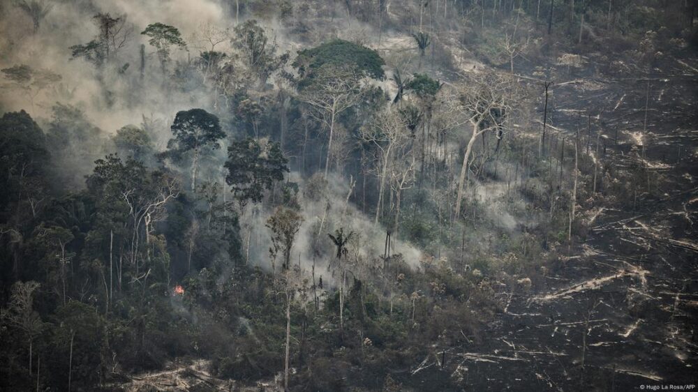 Incendios en la selva boscosa de la Amazonía: una enorme superficie de árboles y suelo quemados.