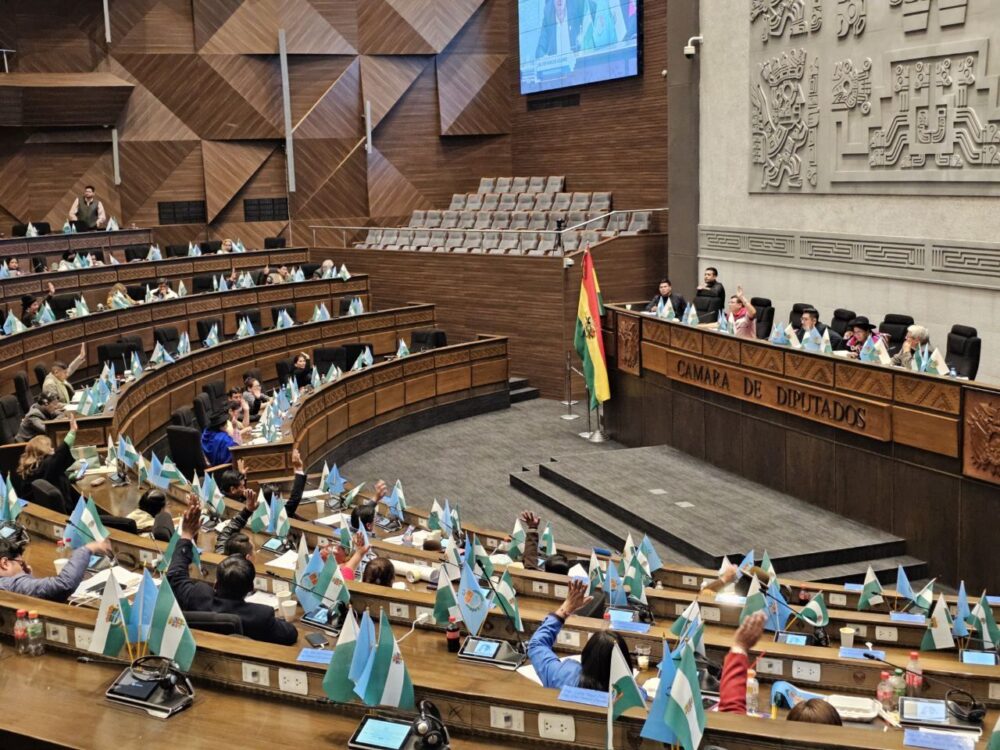 Apenas el 5% de las iniciativas legislativas ingresadas a Diputados llegó a resolverse en un debate en el pleno.