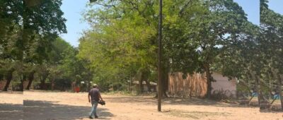 “Fue un accidente fortuito”, dicen cabañeros tras caída de un hombre del ‘palo encebao’