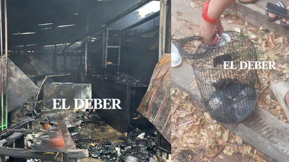Incendio en centro de medicina natural 