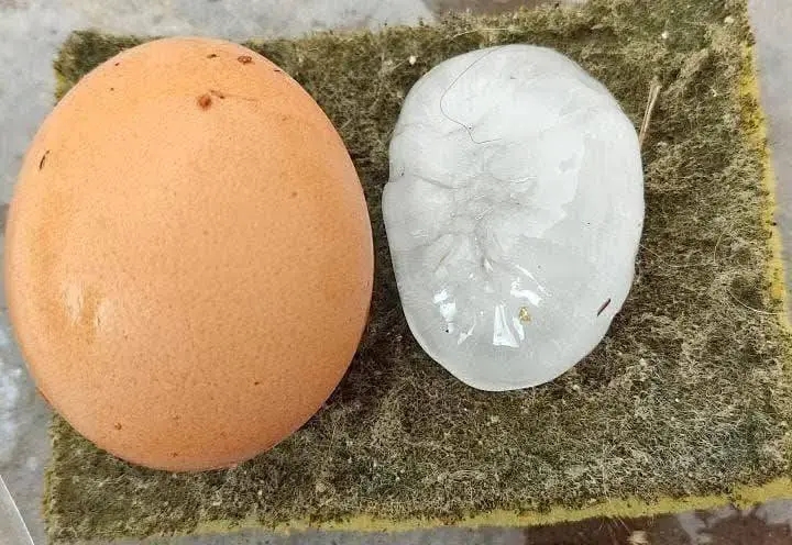 Granizos de gran tamaño cayeron en Tarija. Aquí una comparación con un huevo