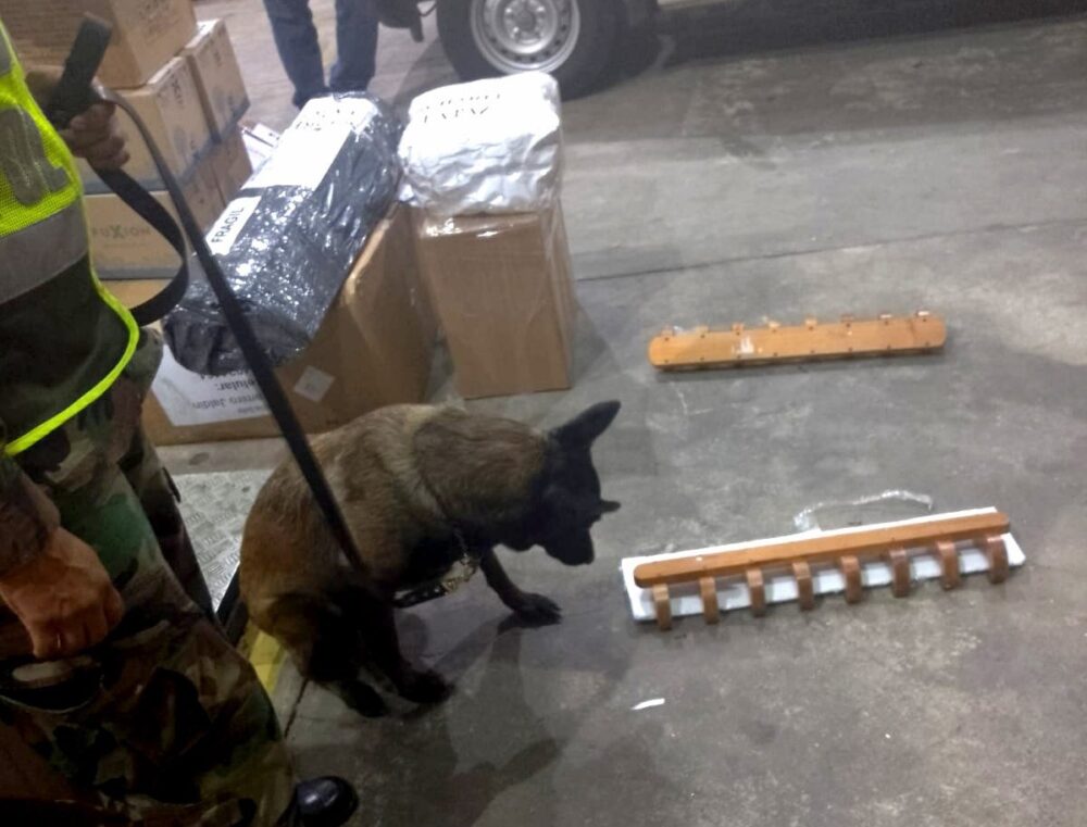El can Jade detectó la droga oculta en los colgadores de madera