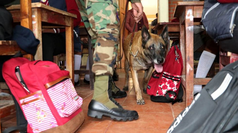 El microtráfico de marihuana y vapers invaden colegios de Tarija