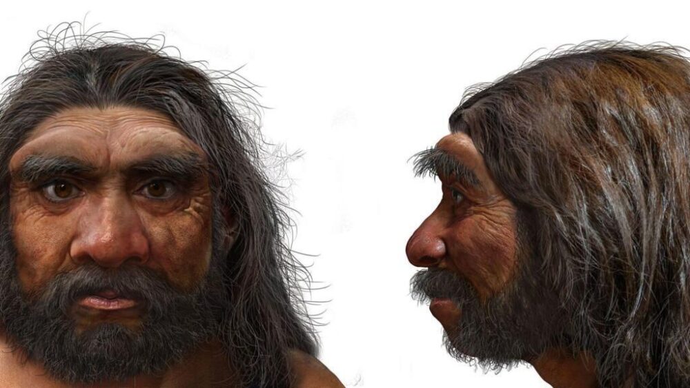Los investigadores creen que el cráneo reconstruido, de un millón de años de antigüedad, podría ayudar a resolver misterios que llevan mucho tiempo sin resolverse
