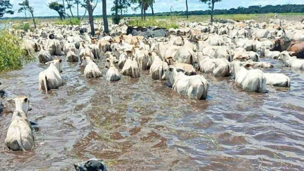 El cambio climático es una realidad en Beni