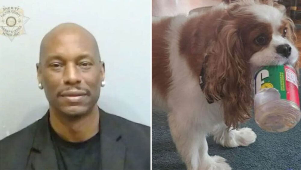 Una foto dividida de la ficha policial de Tyrese Gibson y el perro del vecino, Henry.