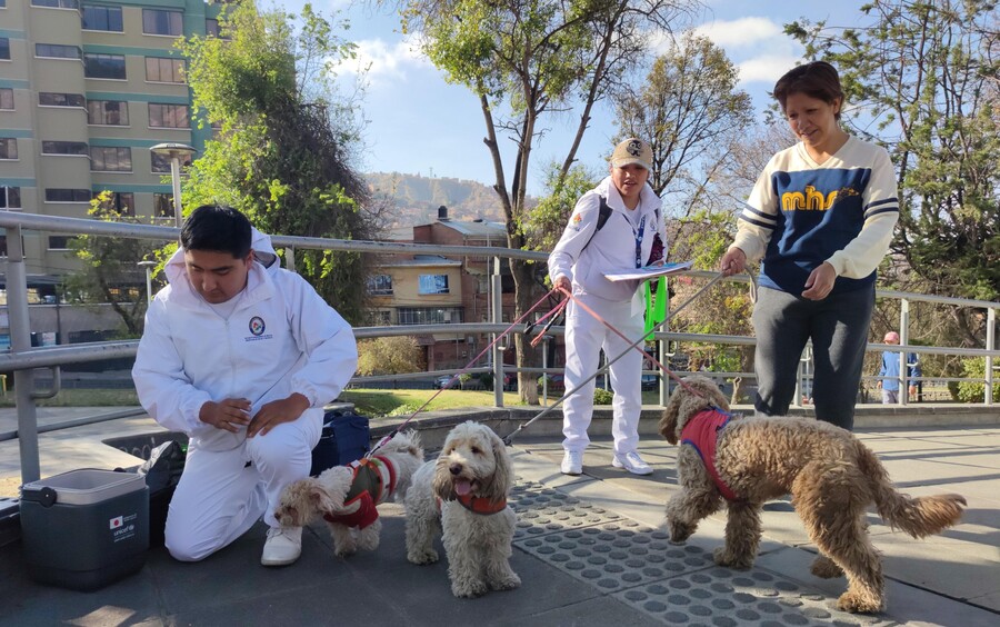 Nuevo caso de rabia canina en Sucre, suman 38 los contagios y se prepara campaña de vacunación