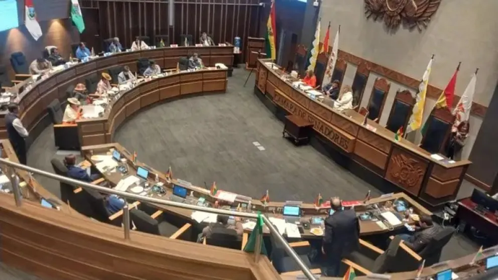 El senador Pedro Benjamín Vargas solicitó que el proyecto sea tratado con dispensación de trámite. Foto: Archivo
