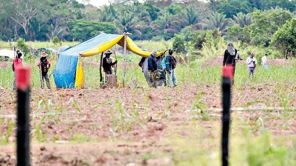 Los avasalladores vivían en casuchas en el predio que tomaron por la fuerza, en Montero./ APG
