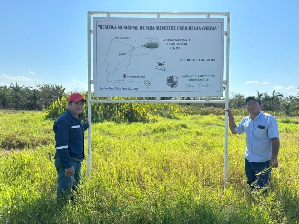 El retorno de las cigüeñas al Curichi Las Garzas