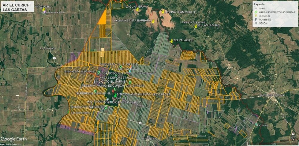 El retorno de las cigüeñas al Curichi Las Garzas