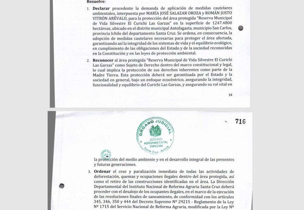 El retorno de las cigüeñas al Curichi Las Garzas