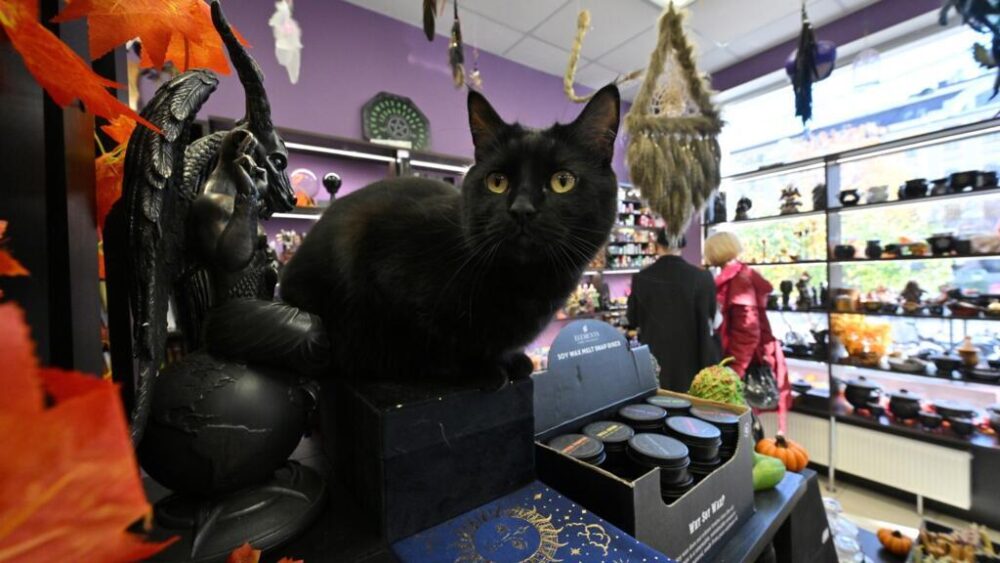 Un gato negro sentado en el mostrador de una tienda popular llamada Caldero de la Bruja, que vende los llamados "productos mágicos", en Kiev, el 19 de octubre de 2023