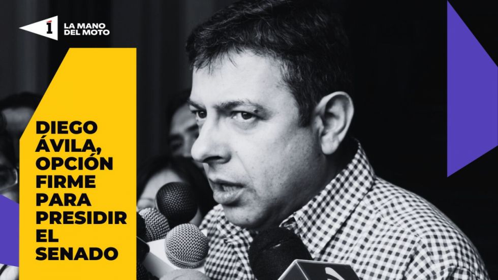 Diego Ávila, opción firme para presidir el Senado