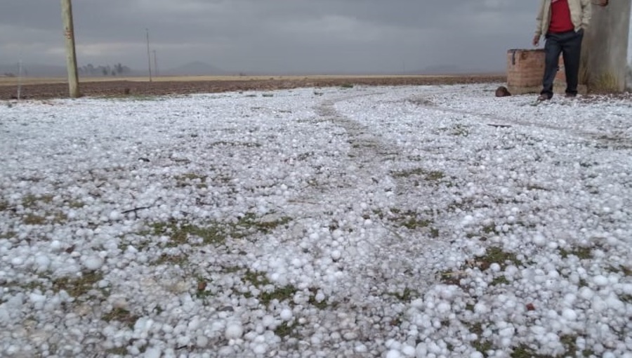 En Potosí las lluvias y granizos dejan más de 200 familias y al menos 140 hectáreas de cultivos afectadas