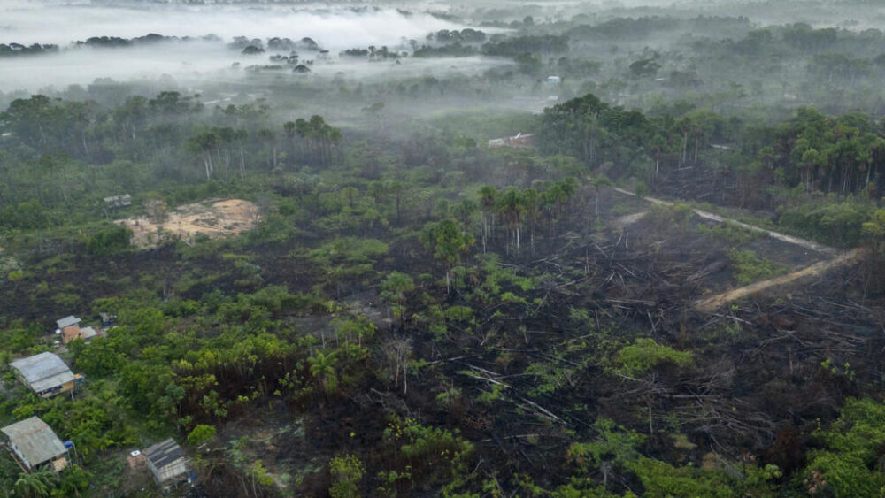 Unos terrenos afectados por unos incendios forestales, puestos a la venta, en Breves, en la región Amazónica brasileña, en una imagen del 9 de diciembre de 2024